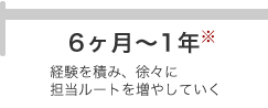 6ヶ月～1年 経験を積み、徐々に担当ルートを増やしていく